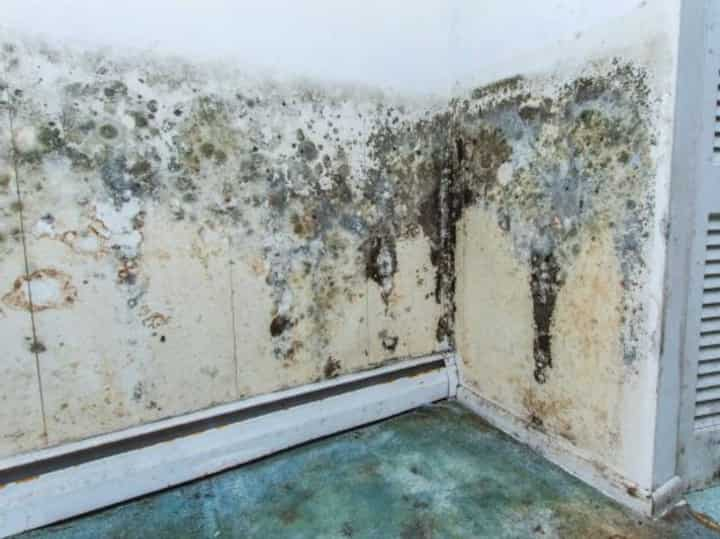 water damage ann arbor; don't ignore water damage problems